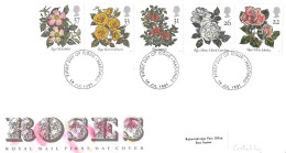 1991 Roses Addressed FDC Tt - 1991-00 Ediciones Decimales