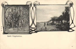 PC HAITI CARIBBEAN VEGETATION Vintage Postcard (b52119) - Haiti