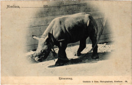 PC KENYA MOMBASA RHINOCERUOS RHINO, Vintage Postcard (b52525) - Kenia