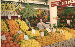 PC US, FARMERS MARKET, LOS ANGELES, CALIFORNIA, MODERN Postcard (b52304) - Los Angeles