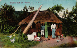 PC VIRGIN ISLANDS ST. THOMAS NATIVE HUT Vintage Postcard (b52263) - Virgin Islands, British