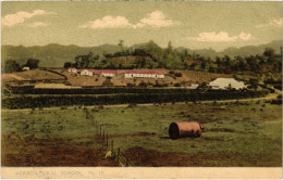 PC VIRGIN ISLANDS ST. VINCENT AGRICULTURAL SCHOOL Vintage Postcard (b52250) - Britse Maagdeneilanden