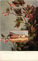 PC COSTA RICA MISSION SAN JOSE MANZANITA FLOWER Vintage Postcard (b52237) - Costa Rica