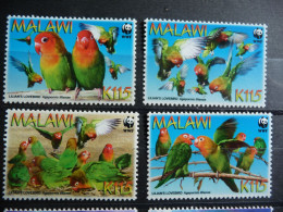 (8)  Malawi 2009 WWF, Lilians Lovebird 4v, Mint NH, Nature - Birds - Parrots - World Wildlife Fund - Malawi (1964-...)