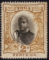 TONGA 1897 2d Grey & Bistre SG42 MH - Tonga (...-1970)