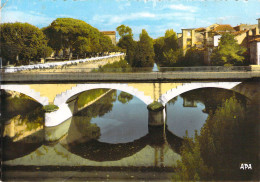 81 - Graulhet - Le Pont Neuf Et Le Square - Graulhet