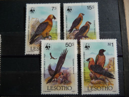 (8) Lesotho 1986 WWF, Vultures 4v, MNH , Nature - Birds - Birds Of Prey . - Lesotho (1966-...)