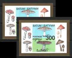 ● BATUM /Georgia 1994 ֍ FUNGHI ● Champignons Mushrooms ֍ BF X 2 ● NON Dentellato ● N. ?  ️● Lotto N. XX ️● - Géorgie