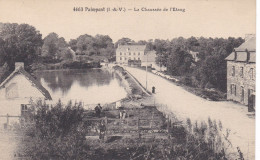 PAIMPONT La Chaussée De L'etang - Paimpont