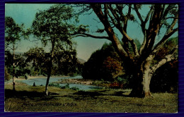 RB 1634 - Early Postcard - Meeting Of The Waters - Vale Of Avoca - Co Wicklow Ireland Eire - Wicklow