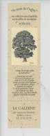 Marque-pages "L'Orme Le Nom De L'arbre - Actes Sud - Calendrier Celtique" Le Havre Librairie La Galerne Rue Victor Hugo - Alberi