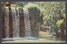 127906/ DISNEYLAND USA, Schweitzer Falls, Adventureland - Disneyland