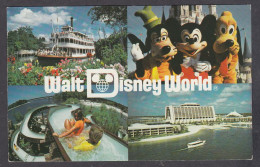 116892/ DISNEYWORLD - Disneyworld