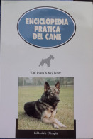 "Enciclopedia Pratica Del Cane" Di J.M. Evans - K. White - Andere & Zonder Classificatie