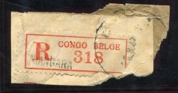 Congo Niangara Etiquette De Recommandé Type 1Db/O-R/H (petite Griffe Majuscule) Dent. 11 - Lettres & Documents