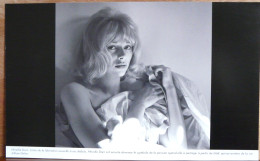 MIREILLE DARC ICONIQUE GRAND FORMAT - Famous People