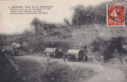 Voitures Transport Du Maté Bresil - Taxi & Carrozzelle