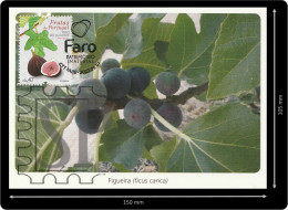 Portugal 2023 Postal Máximo Frutas Figo Algarve Filatelia Faro Ficus FIG Tree Figuier Figues Maximum Maxicard Estoi CPM - Maximumkaarten