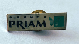 PINS MEDICAL  Laboratoire  GROUPE PRIAM  / Papillon / 33NAT - Medici