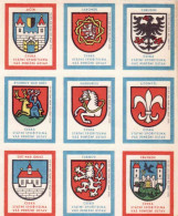 Czechoslovakia - Czechia 9 Matchbox Labels, Blason Jičín Chrudim Pardubice Litomyšl Turnov Trutnov Jaromer Ústí N.Orlici - Boites D'allumettes - Etiquettes