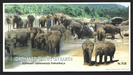SRI LANKA. BF 82 De 2003. Eléphants. Some Yellow Spots On The Gum/Quelques Rousseurs Sur La Gomme. - Elefantes