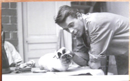 JACQUES BREL DANS SON APPARTEMENT AVEC SON CHAT EN 1959 GRAND FORMAT - Célébrités