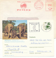 Eléphants, See Scan - Eléphants