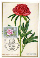 FLEUR + PIVOINE  = AUTRICHE 1964 = CARTE MAXIMUM + N° Yvert 984 - Cartoline Maximum