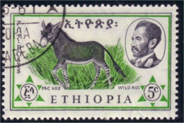 324 Ethiopie Wild Ass Donkey Ane Sauvage (ETH-273) - Donkeys