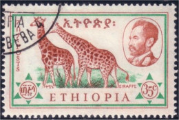 324 Ethiopie Girafe Giraffe Girafen (ETH-275) - Giraffen