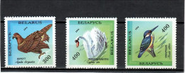 Belarus 1994 .  Endangered Birds . 3v. Michel # 69-71 - Belarus