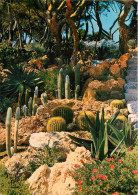 Fleurs - Plantes - Cactus - La Cote D'Azur - Jardin Exotique - CPM - Voir Scans Recto-Verso - Cactusses