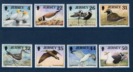 Jersey, **, Yv 836 à 843, Mi 841 à 848, SG 776 à 783, Oiseaux, Fou De Bassan, Grand Gravelot, Pluvier Argenté, ... - Jersey