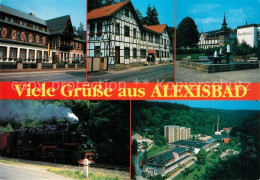 73268893 Alexisbad Harz Hotel Habichtstein Haus Elysium Hotel Harzquell Brunnen  - Harzgerode