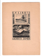 Ex Libris. 110mmx160mm - Exlibris