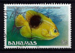 Bahamas 1986 Fish  Y.T. 602 (0) - Bahamas (1973-...)