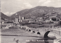 Cartolina Bobbio ( Piacenza ) Ponte Medioevale E Panorama - Piacenza