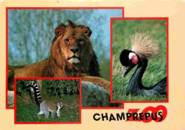Animaux - Fauves - Lion - Villedieu Les Poeles - Parc Zoologique De Champrepus - Multivues - Grue Couronnée - Maki-catta - Leoni