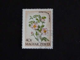 HONGRIE HUNGARY MAGYAR YT 2322 OBLITERE - FLEUR FLORE FLOWER / ROSE SAUVAGE - Usado