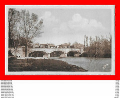 CPA (81) LABRUGUIERE. Pont Sur Le Thoré...S2364 - Labruguière