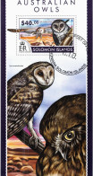 CHCT79 - Australian Owls, Birds, Nature, Fauna, Stamp Mini Sheet, Used CTO, 2015, Solomon Islands - Sonstige - Afrika