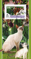 CHCT79 - Cats, Nature, Fauna, Stamp Mini Sheet, Used CTO, 2015, Solomon Islands - Sonstige - Afrika