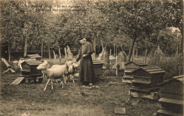 Messei * Apiculteur Rucher , Le Bon Pasteur * Les Loisirs D'un Curé De Campagne * Ruches Apiculture Miel Abeilles - Autres & Non Classés