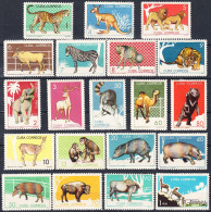 CUBA 1964, FAUNA, WILD ANIMALS From The HAVANA ZOO, COMPLETE MNH SERIES With ORIGINAL GLUE And PATCHES In GOOD QUALITY - Usati