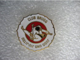 Pin's Du Club De Judo Et Jiu-jitsu De La Ville De BRUGG - Judo