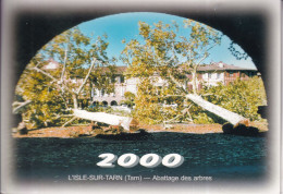 LISLE SUR TARN   Abattage Des Arbres 12 é Rencontre Des Collectionneurs  2000 - Lisle Sur Tarn