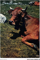 AIDP2-TAUREAUX-0142 - Relaxe  - Bull