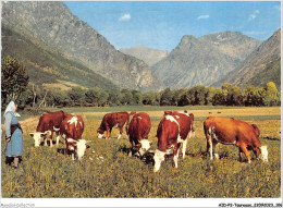 AIDP2-TAUREAUX-0127 - Les Alpes Pittoresques - Vaches Au Pâturage  - Taureaux