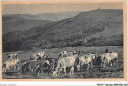 AIDP2-TAUREAUX-0105 - Feldberg - Schwarzwald  - Toros