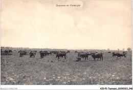 AIDP2-TAUREAUX-0097 - Taureaux En Camargue  - Stiere